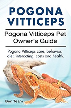 pogona-vitticeps-guide